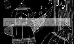 鸟囚漫画,揭秘神秘囚笼中的鸟儿传奇